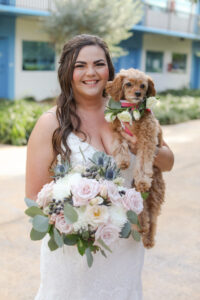 White flower dog collar for wedding ceremony in St. Petersburg, Florida.