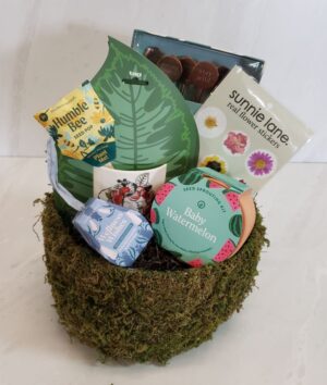 Gift - The Maestro's Garden