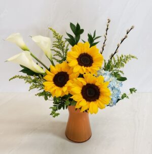Sunshine Wishes