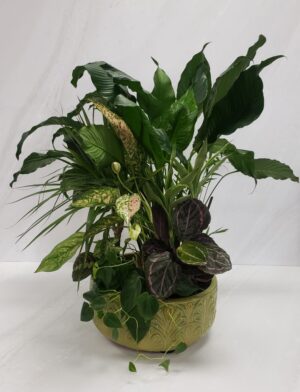 Botanical Haven - Grande